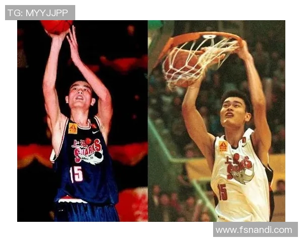 赵县姚明飞的传奇人生与篮球梦想的追逐之路