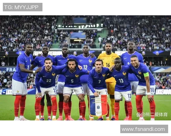 法国足球明星排行榜揭晓谁将成为足坛新传奇